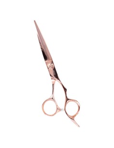 %product-name%%category%