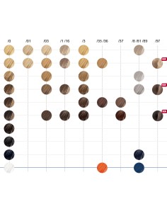 Tinte Color Touch 60 ml Wella 2