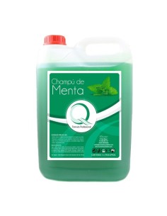 Champú Garrafa Menta 5...