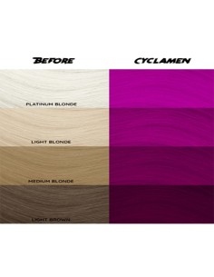 Tinte Semipermenente Morado... 2