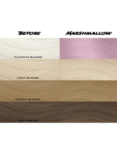 Tinte Semipermanente Rosa... 2