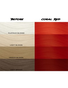 Tinte Semipermanente Rojo... 2