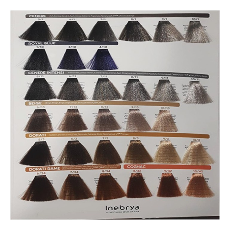 Tinte Inebrya 100 ml Tinte Inebrya 100 ml