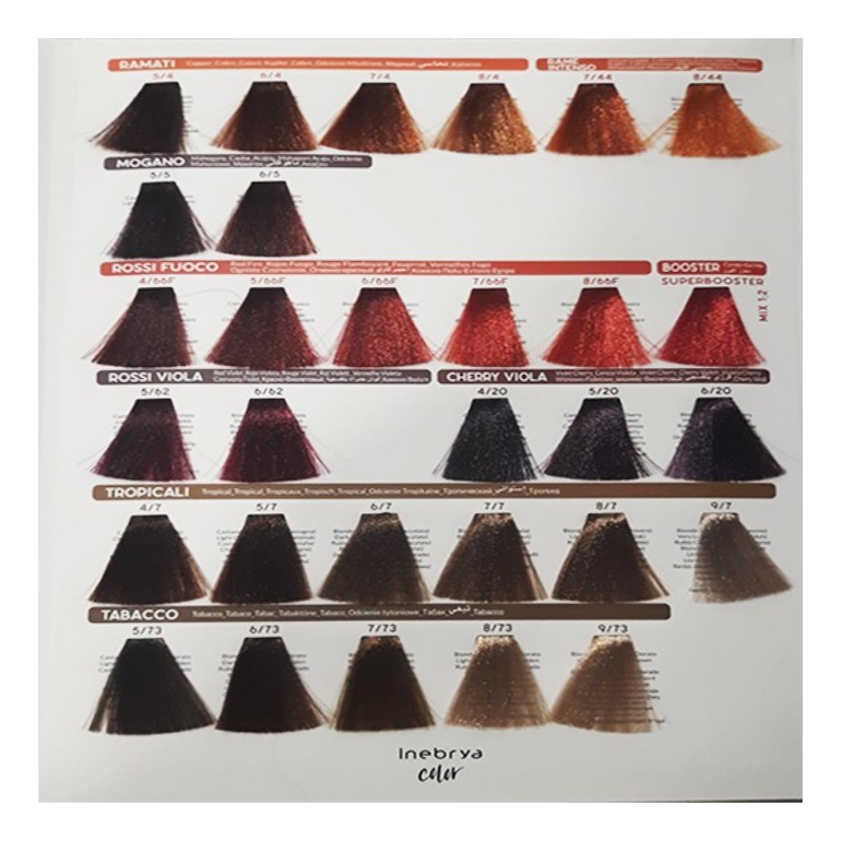 Tinte Inebrya 100 ml Tinte Inebrya 100 ml