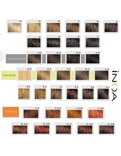 Tinte Inoa 60 ml L´oreal 2