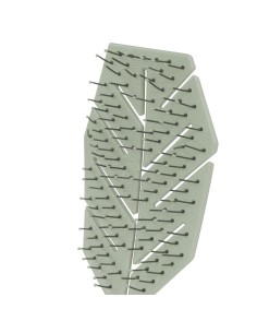 Cepillo Biodegradable... 2